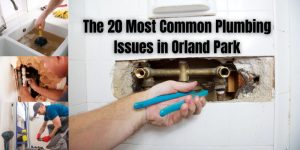 Most Common Plumbing Issues in Orland Park