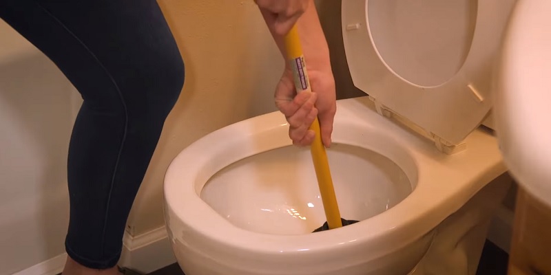 how to unclog a toilet fast home remedy