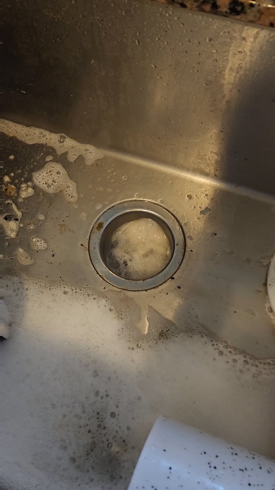 Garbage Disposal Water Comes Back Up