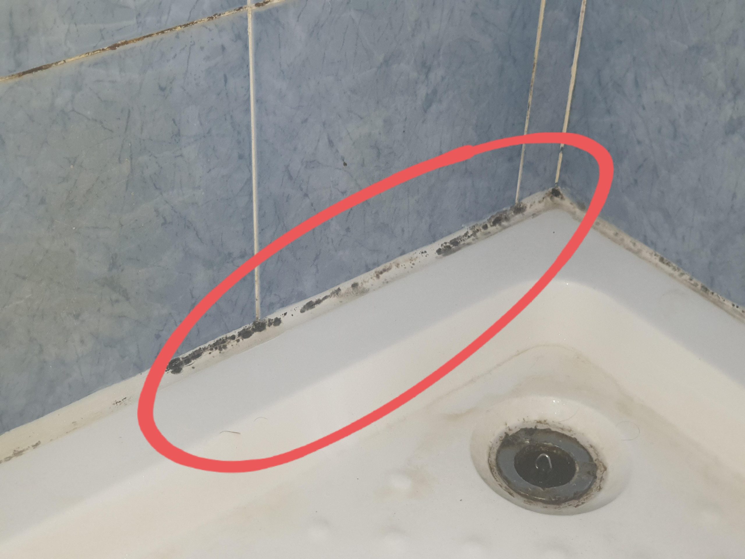 How to Get Rid of Black Mold in Bathroom