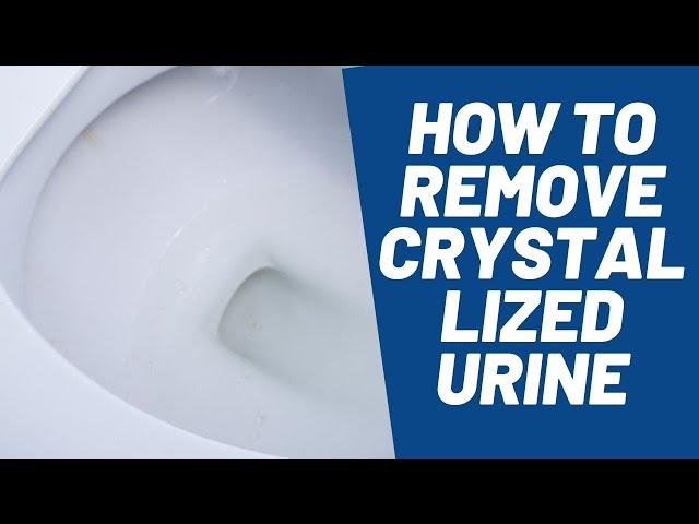 How to Remove Crystallized Urine