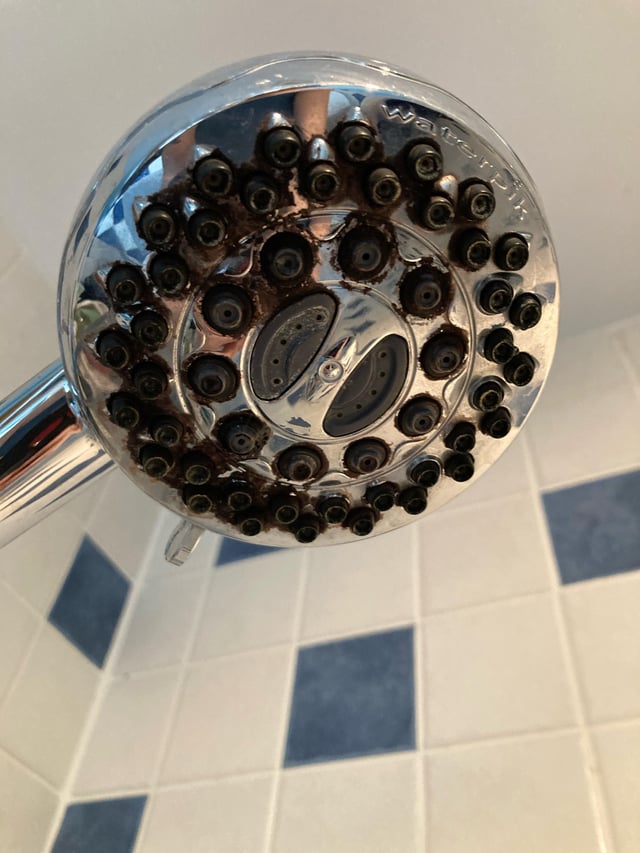 Is Black Mold on Shower Head Dangerous