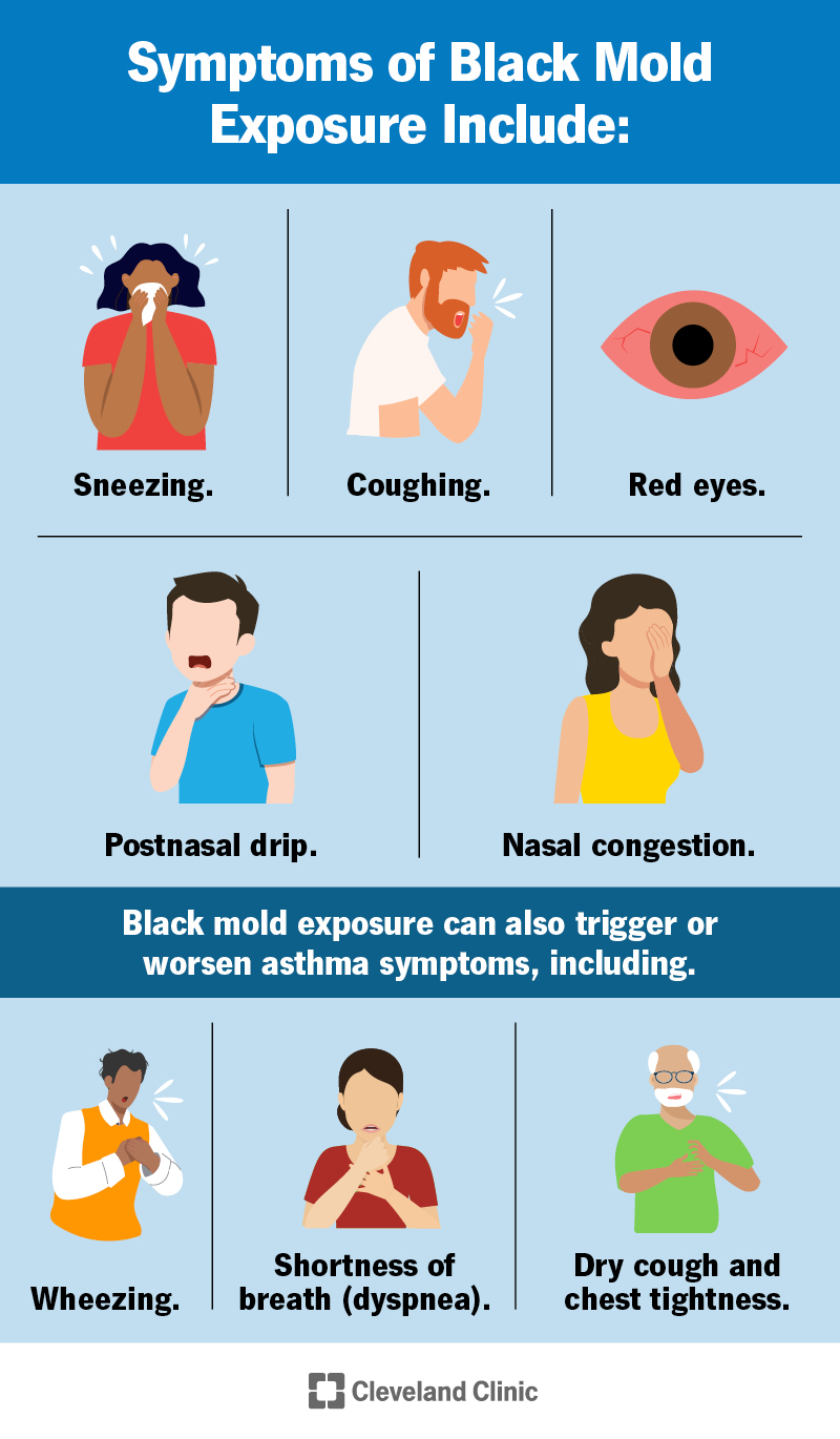 What are Signs of Mold Sickness