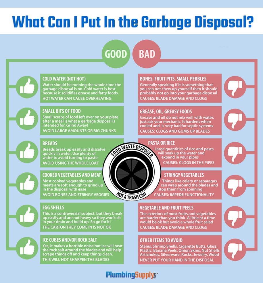 What Can You Put in a Garbage Disposal