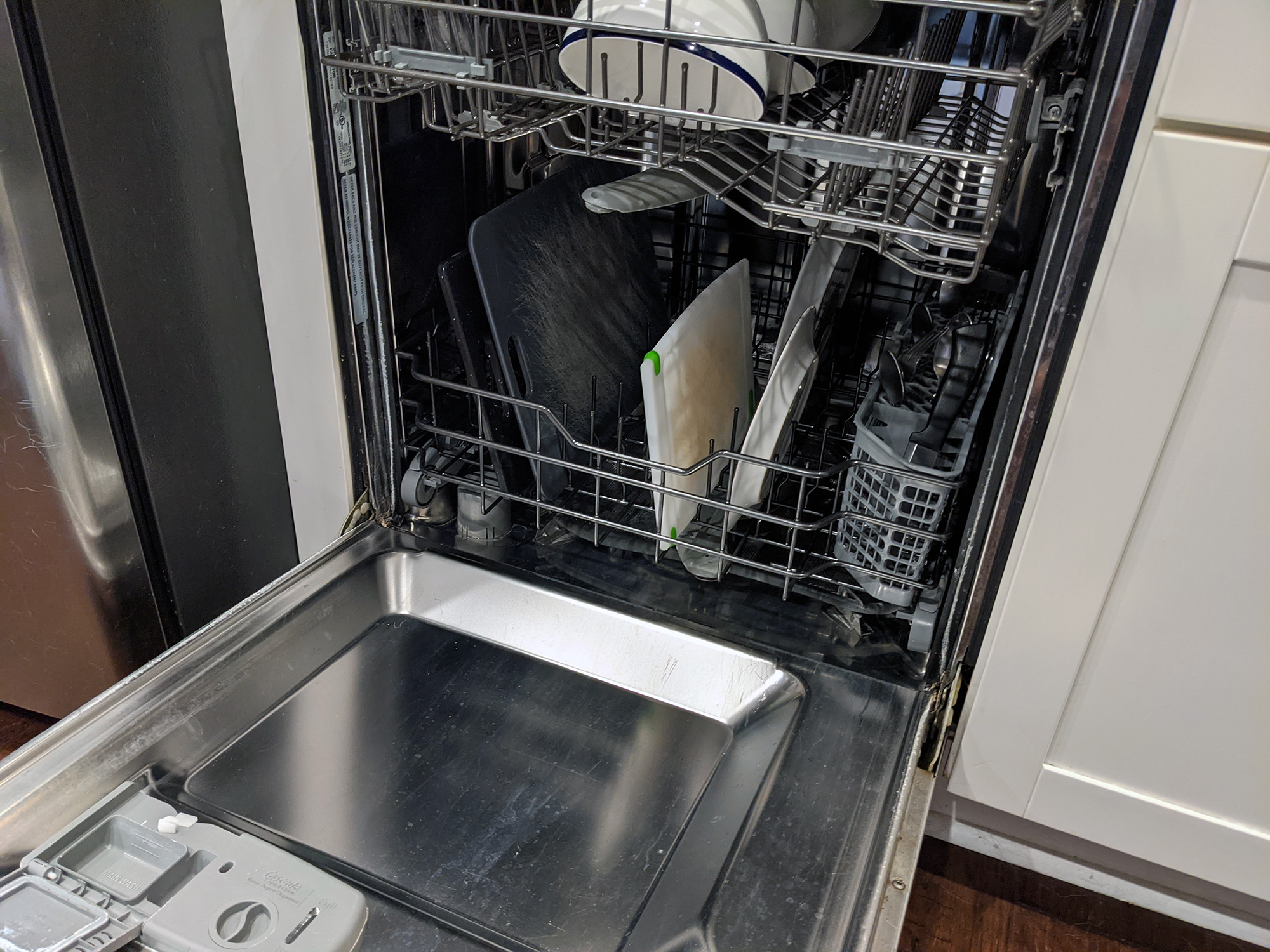 Roaches in Dishwasher